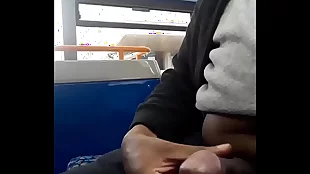 flashing cock on bus compilation